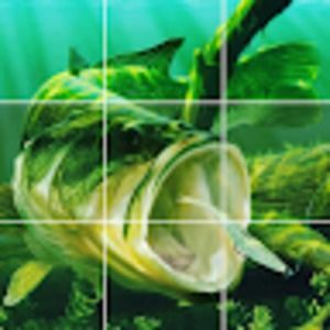 Meet your Posher, Seth